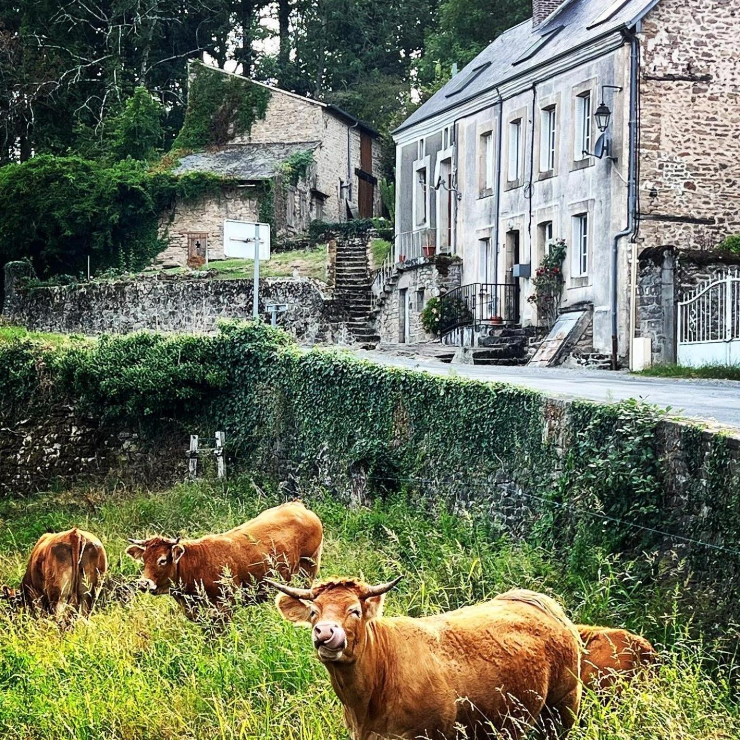 Vue Du Vallon Bersac-sur-Rivalier Exterior photo